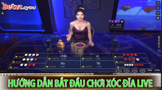 Hướng dẫn bắt đầu chơi Xóc Đĩa Live 