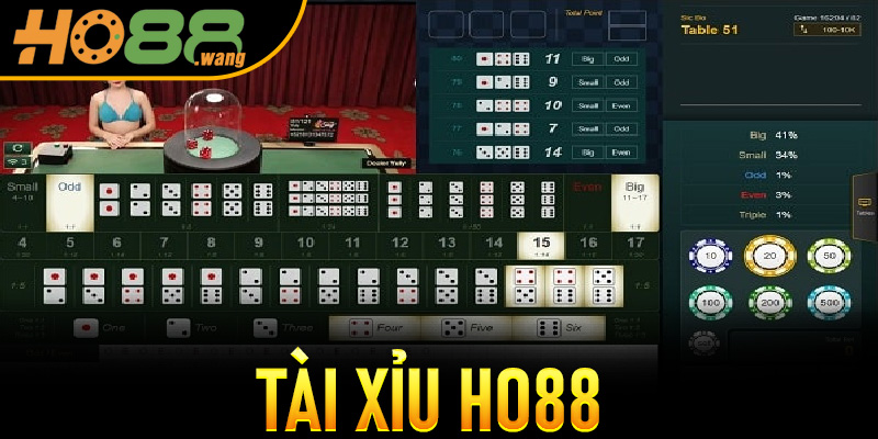 Tài Xỉu Ho88